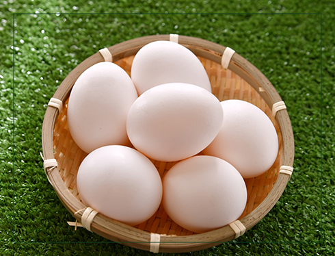 淡路産の食材を使用!