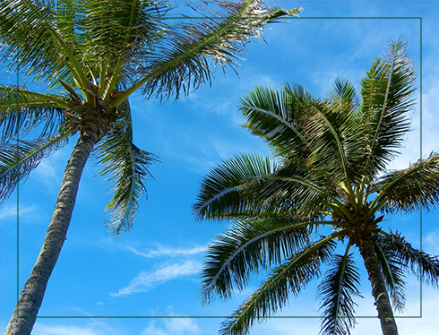 ハワイアンの雰囲気を淡路島でご堪能ください!